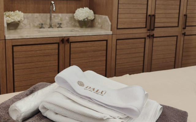 dalu_professional_spa_management_spa_wellness_dalu_clinic