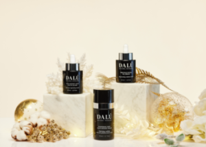 christmas_dalu_seasonal_gift